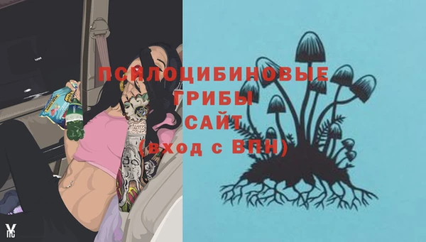 герыч Пестово