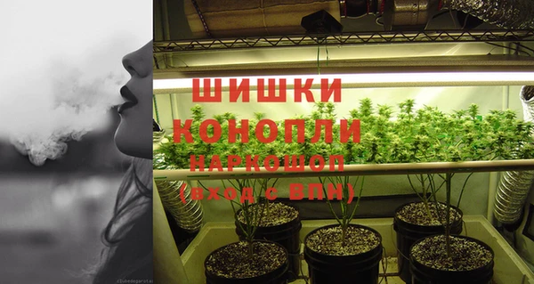 бошки Белокуриха