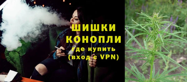 бошки Белокуриха